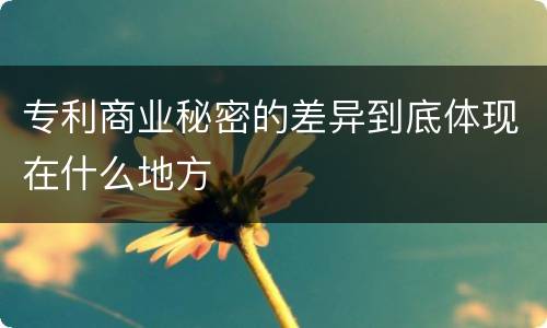 专利商业秘密的差异到底体现在什么地方