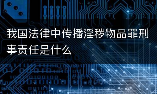 我国法律中传播淫秽物品罪刑事责任是什么