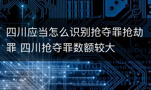 四川应当怎么识别抢夺罪抢劫罪 四川抢夺罪数额较大