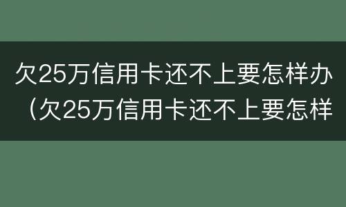 欠25万信用卡还不上要怎样办（欠25万信用卡还不上要怎样办呢）