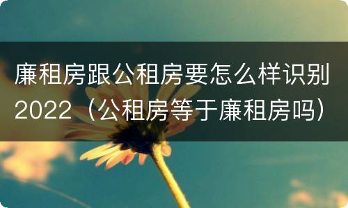 廉租房跟公租房要怎么样识别2022（公租房等于廉租房吗）