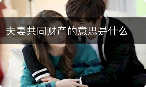 夫妻共同财产的意思是什么