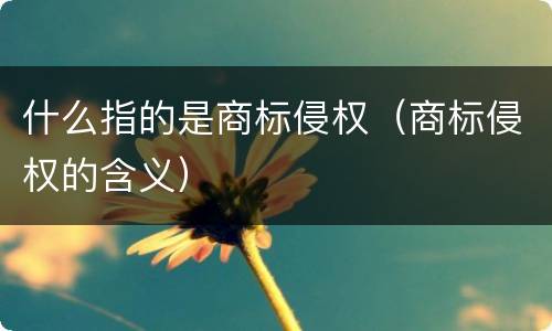 什么指的是商标侵权（商标侵权的含义）