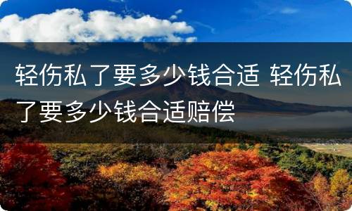 轻伤私了要多少钱合适 轻伤私了要多少钱合适赔偿