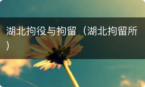湖北拘役与拘留（湖北拘留所）