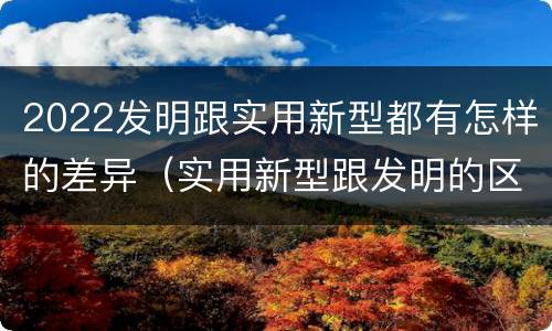 2022发明跟实用新型都有怎样的差异（实用新型跟发明的区别）