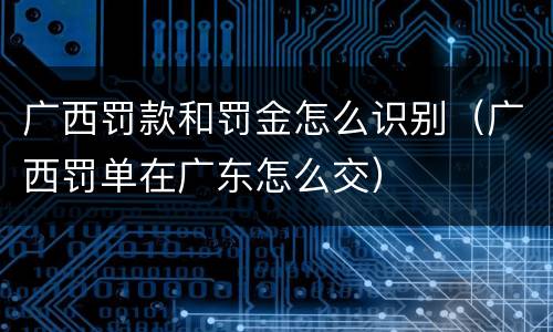 广西罚款和罚金怎么识别（广西罚单在广东怎么交）