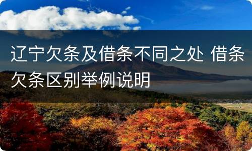 辽宁欠条及借条不同之处 借条欠条区别举例说明