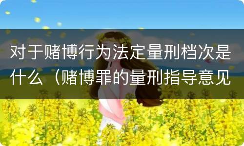 对于赌博行为法定量刑档次是什么（赌博罪的量刑指导意见）
