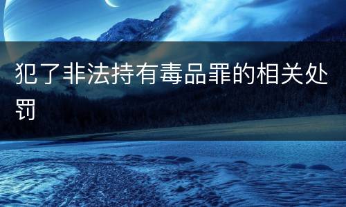 犯了非法持有毒品罪的相关处罚