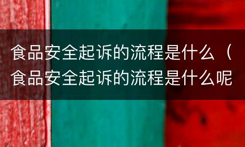 食品安全起诉的流程是什么（食品安全起诉的流程是什么呢）