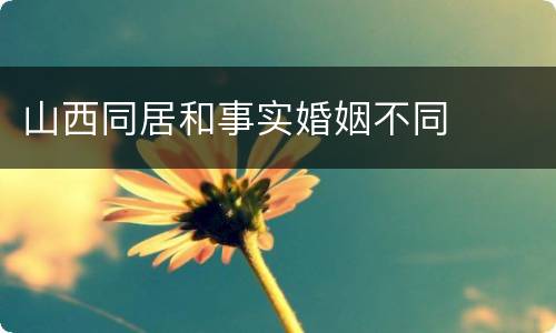 山西同居和事实婚姻不同