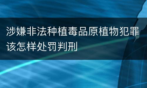 涉嫌非法种植毒品原植物犯罪该怎样处罚判刑
