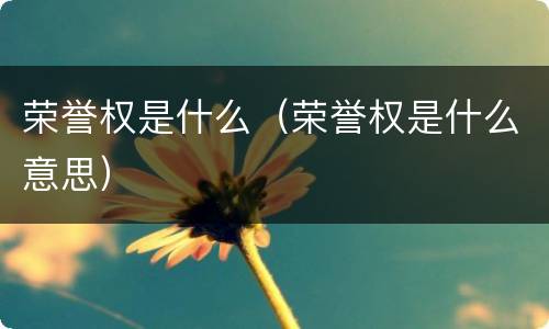 荣誉权是什么（荣誉权是什么意思）