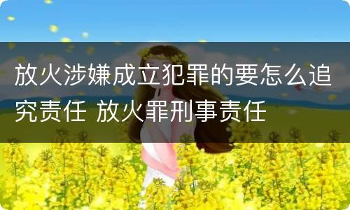 放火涉嫌成立犯罪的要怎么追究责任 放火罪刑事责任