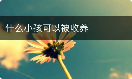 什么小孩可以被收养