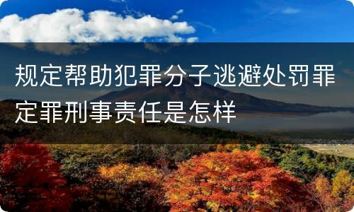 规定帮助犯罪分子逃避处罚罪定罪刑事责任是怎样