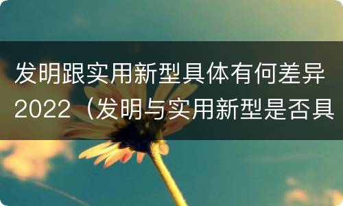 发明跟实用新型具体有何差异2022（发明与实用新型是否具有实用性）