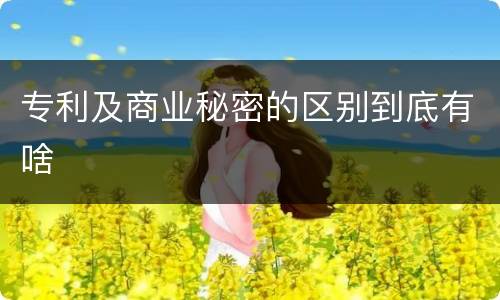 专利及商业秘密的区别到底有啥