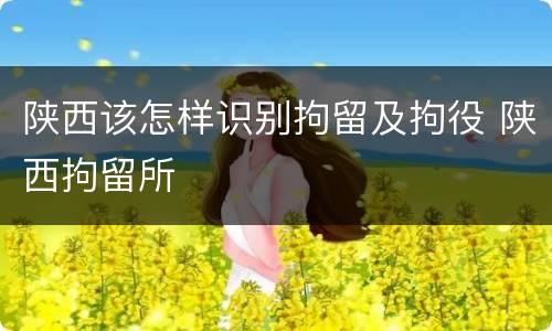 陕西该怎样识别拘留及拘役 陕西拘留所