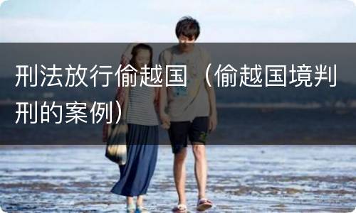 刑法放行偷越国（偷越国境判刑的案例）