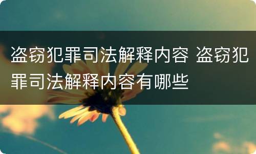 盗窃犯罪司法解释内容 盗窃犯罪司法解释内容有哪些