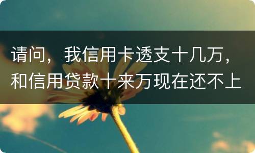 请问，我信用卡透支十几万，和信用贷款十来万现在还不上了。情节严重会咋样，怎么判刑