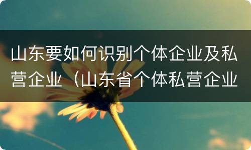 山东要如何识别个体企业及私营企业（山东省个体私营企业协会酒业分会）