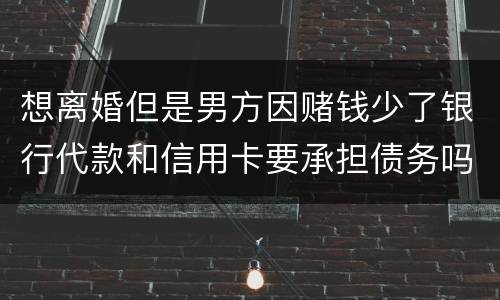 想离婚但是男方因赌钱少了银行代款和信用卡要承担债务吗