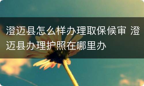 澄迈县怎么样办理取保候审 澄迈县办理护照在哪里办