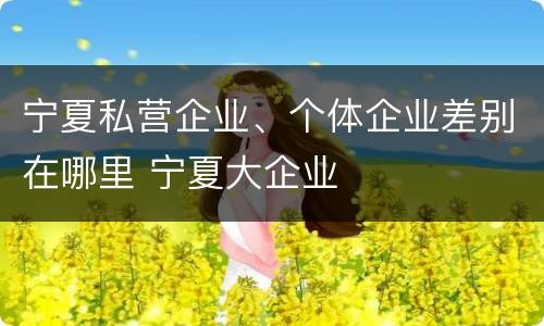 宁夏私营企业、个体企业差别在哪里 宁夏大企业