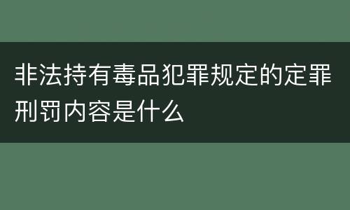 非法持有毒品犯罪规定的定罪刑罚内容是什么