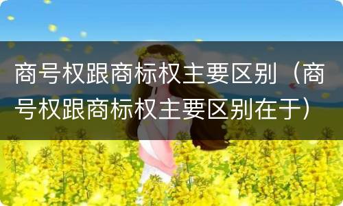 商号权跟商标权主要区别（商号权跟商标权主要区别在于）
