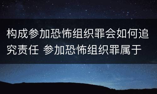 构成参加恐怖组织罪会如何追究责任 参加恐怖组织罪属于