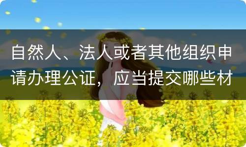 自然人、法人或者其他组织申请办理公证，应当提交哪些材料