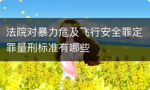 法院对暴力危及飞行安全罪定罪量刑标准有哪些