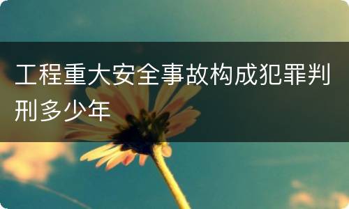 工程重大安全事故构成犯罪判刑多少年