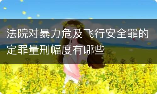 法院对暴力危及飞行安全罪的定罪量刑幅度有哪些