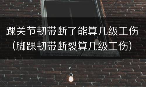 踝关节韧带断了能算几级工伤（脚踝韧带断裂算几级工伤）