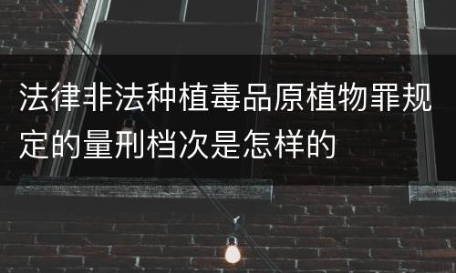 法律非法种植毒品原植物罪规定的量刑档次是怎样的