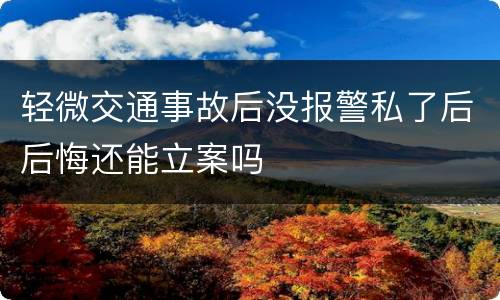 轻微交通事故后没报警私了后后悔还能立案吗