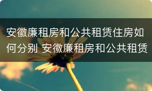 安徽廉租房和公共租赁住房如何分别 安徽廉租房和公共租赁住房如何分别购买