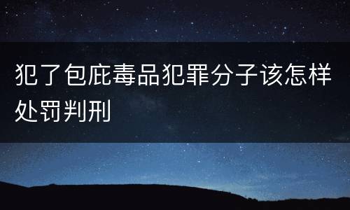 犯了包庇毒品犯罪分子该怎样处罚判刑