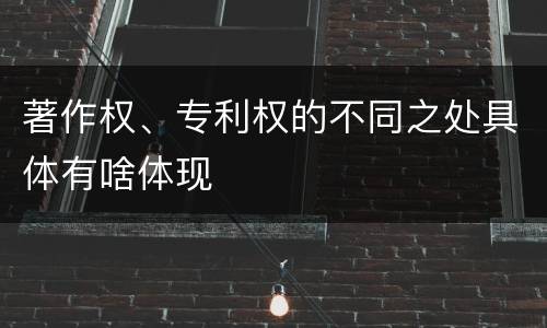 著作权、专利权的不同之处具体有啥体现
