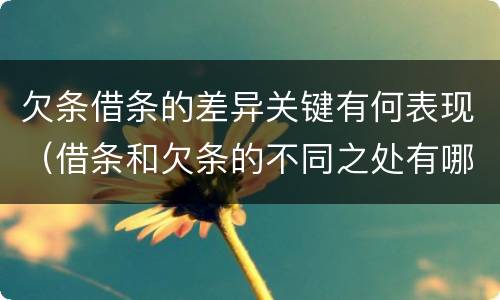 欠条借条的差异关键有何表现（借条和欠条的不同之处有哪些）