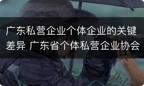广东私营企业个体企业的关键差异 广东省个体私营企业协会