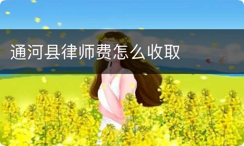 通河县律师费怎么收取