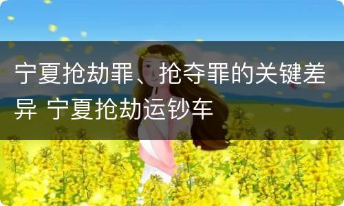 宁夏抢劫罪、抢夺罪的关键差异 宁夏抢劫运钞车