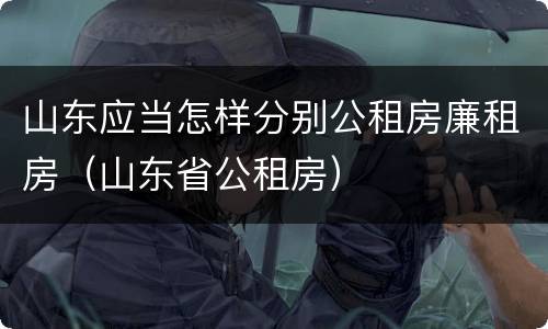 山东应当怎样分别公租房廉租房（山东省公租房）