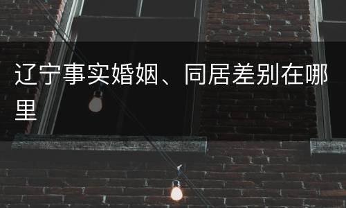辽宁事实婚姻、同居差别在哪里